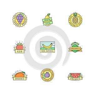 Organic and natural product multicolored fruit sticker (logo) vector set.