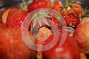Organic natural red strawberries. Delicious and sweet.
