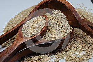 Organic natural Til Gul OR Sesame seeds over white background