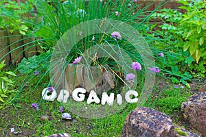 Organic Nature