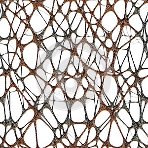 Organic netting creating a complex and interconnected structure
