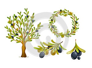 Aceituna productos colocar. negro a verde olivos aceituna un árbol entero un árbol guirnalda. saludable productos 