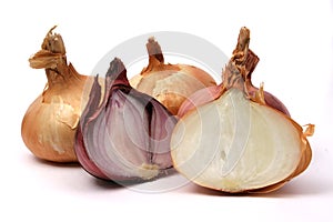 Organic onion photo