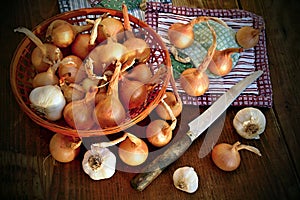 Organic onion and garlic in the basket with vintage knife