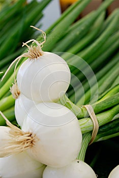 Organic Onions