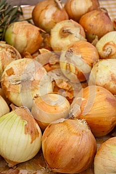 Organic Onions