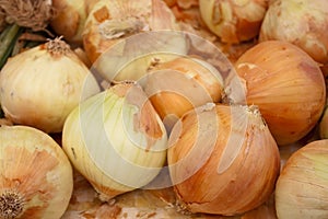 Organic Onions