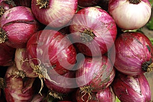 Organic onions