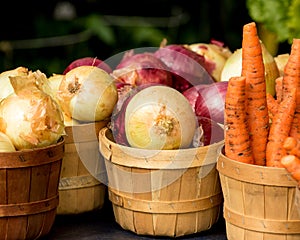 Organic Onions and Carrots in Basket