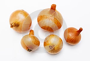 Organic onions isolated