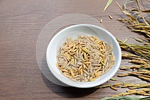 Organic Paddy Seeds, Unmilled Rice on wood background with copy space