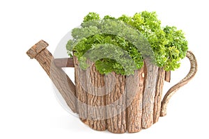 Organic parsley in wooden pot