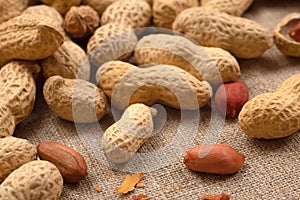 Organic peanuts in shell on burlap. Fresh nuts