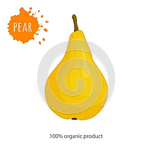 Organic pear. Vector template for eco food advertising