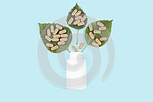 Organic pills on green leafs and jar on blue background