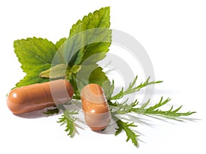 Organic pills with mint leaves on background