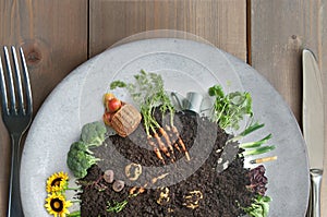 Organic plant based kitchen garden concept