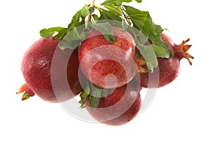 Organic Pomegranates photo