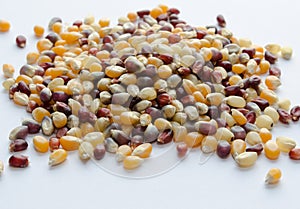 Organic Popcorn Kernels