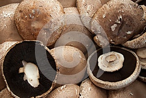 Organic portobello mushrooms photo