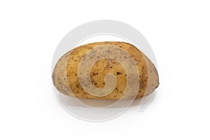 Organic potato isolated on white background with soft shadows