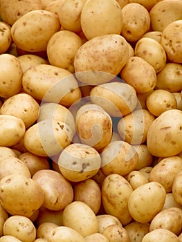 Patate 