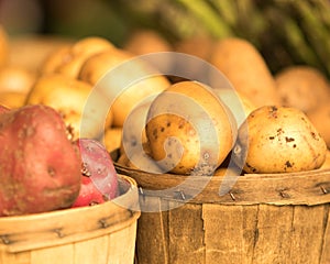 Organic Potatoes in Basket