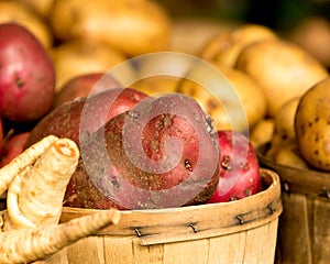 Organic Potatoes in Basket