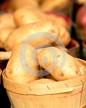 Organic Potatoes in Basket