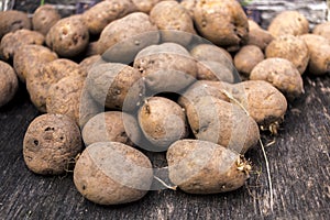 Organic potatoes in bundle