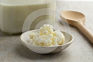 Organic probiotic milk kefir grains photo