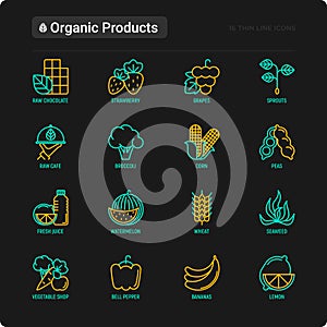 Organic products thin line icons set