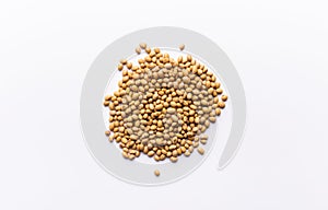 Organic protein sources. Soybeans on white background