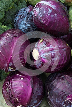 Organic Purple Cabbage