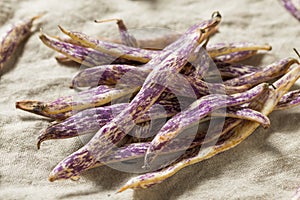 Organic Purple Dragon Tongue Beans