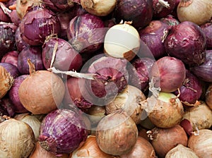 Organic purple and white onions
