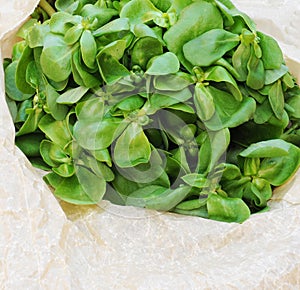 Organic purslane