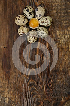 Organic quail eggs and yolk in the form of a flower on a wooden rustic background with copy space for text. Farm products. Easter
