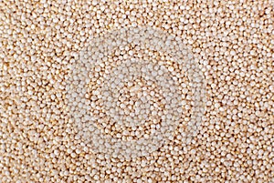 Organic Quinoa seeds Macro close up background texture. Top view.