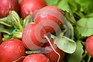 Organic radish
