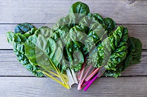 Organic rainbow chard: spray-free leafy greens in fan arrangement on rustic wooden background