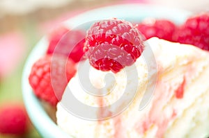 Organic Raspberries on Vanilla Icecream