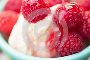 Organic Raspberries on Vanilla Icecream