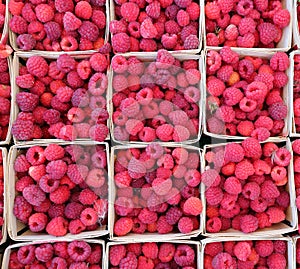 Organic raspberry