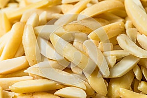 Organic Raw Blanched Slivered Almonds