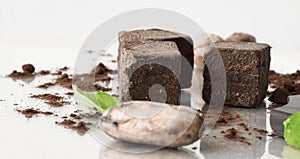 Organic raw cacao bean seed with chocolate, powder and cacao candy dessert cubes accompanied by basil green leaf