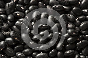 Organic Raw Dry Black Beans