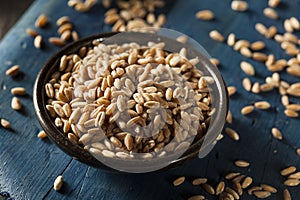 Organic Raw Farro Grain