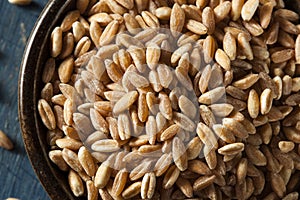 Organic Raw Farro Grain