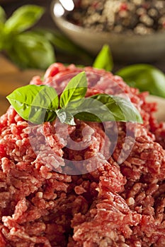 Organic Raw Grass Fed Ground Beef